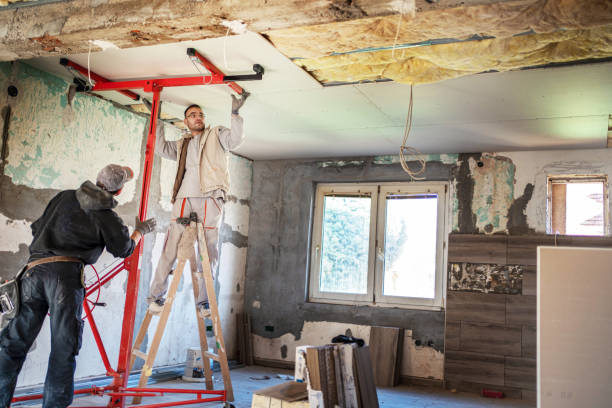Best Insulation Contractor Near Me  in Glendale, MS