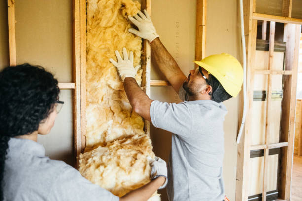 Best Best Insulation Companies  in Glendale, MS